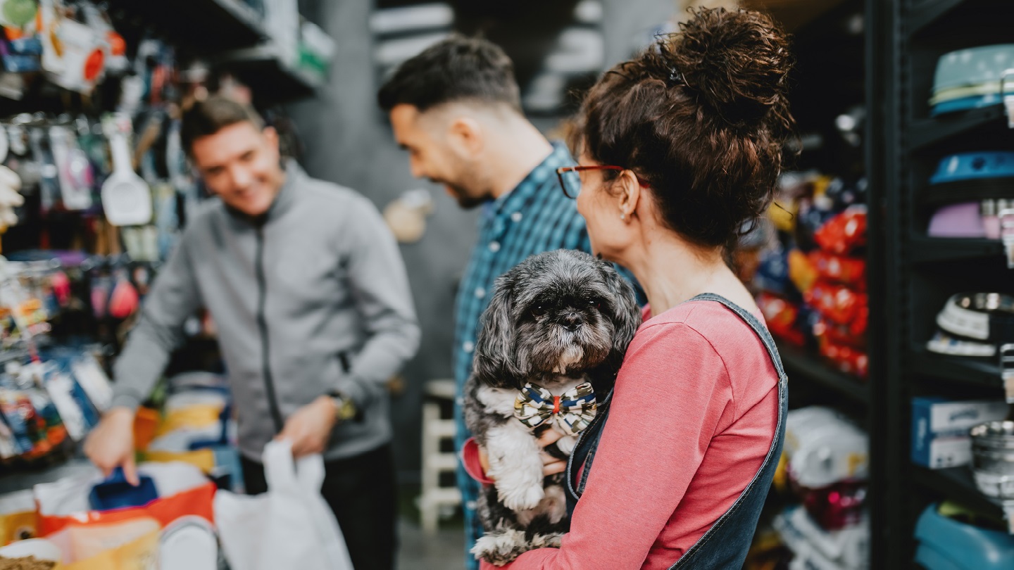 New York to ban pet sales in retail stores from December 2024